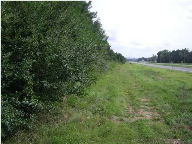 Hwy 27 Trion, GA 30753