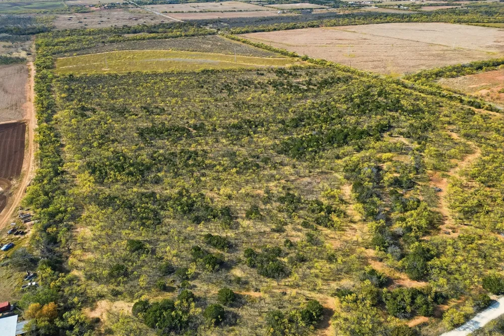 CR 150 Tuscola, TX 79562