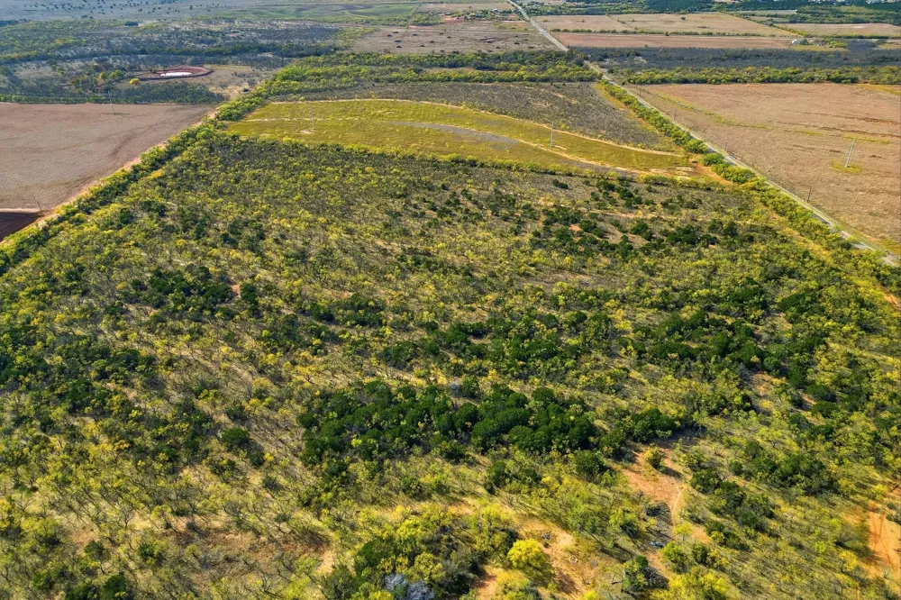 CR 150 Tuscola, TX 79562