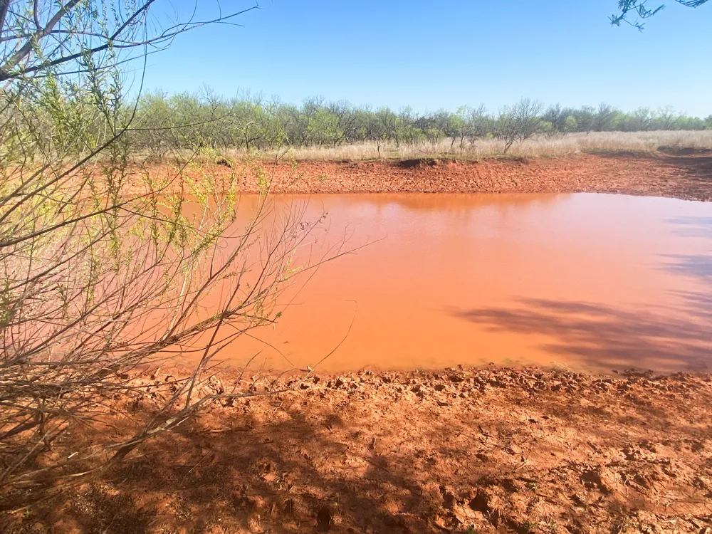 CR 150 Tuscola, TX 79562