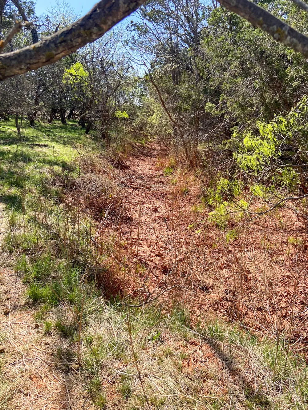 CR 150 Tuscola, TX 79562