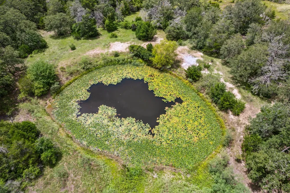 1434 County Road 139 Giddings, TX 78942