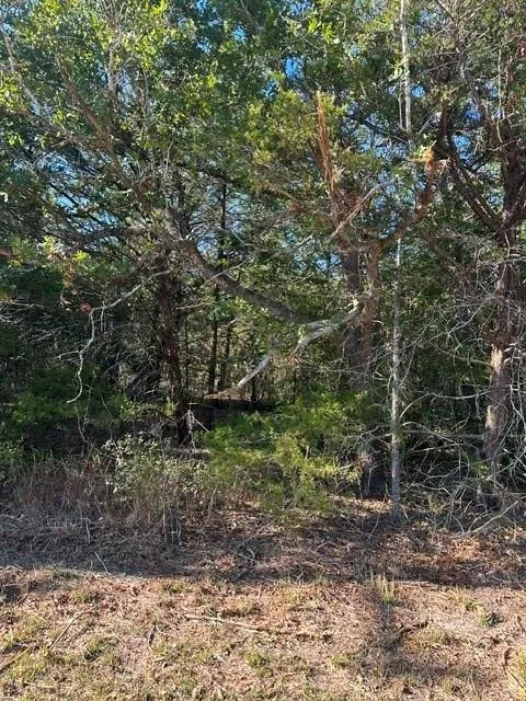 223 Houston Avenue Somerville, TX 77879