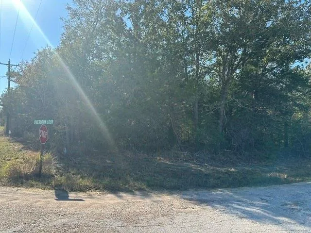 223 Houston Avenue Somerville, TX 77879