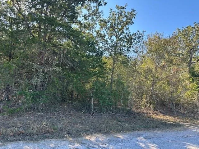223 Houston Avenue Somerville, TX 77879