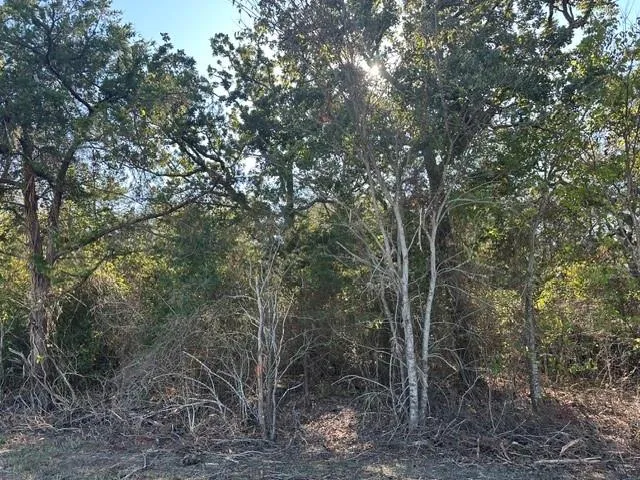 223 Houston Avenue Somerville, TX 77879