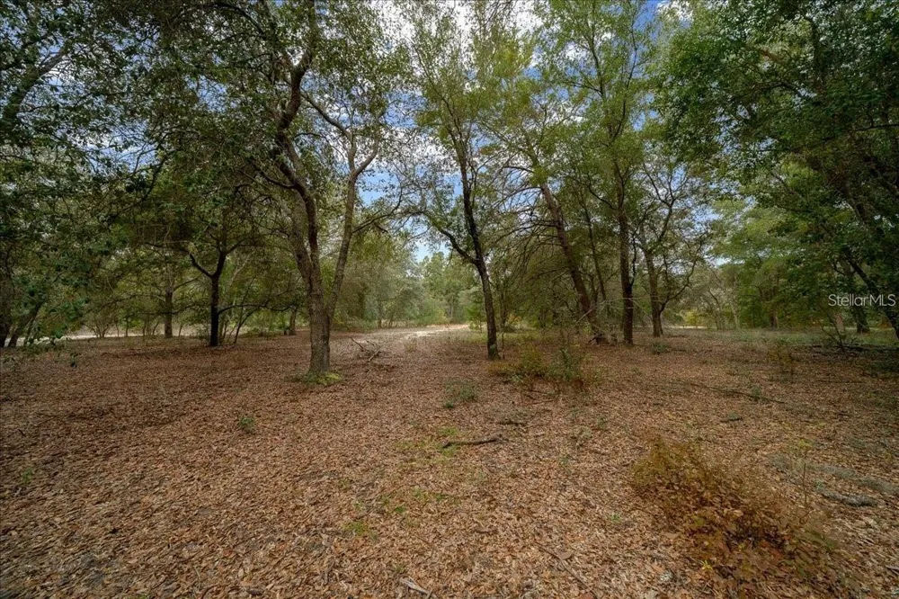7173 W R THOMAS ROAD Keystone Heights, FL 32656
