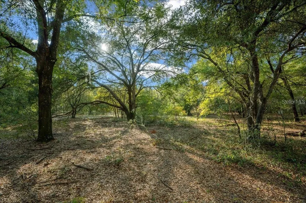 7173 W R THOMAS ROAD Keystone Heights, FL 32656