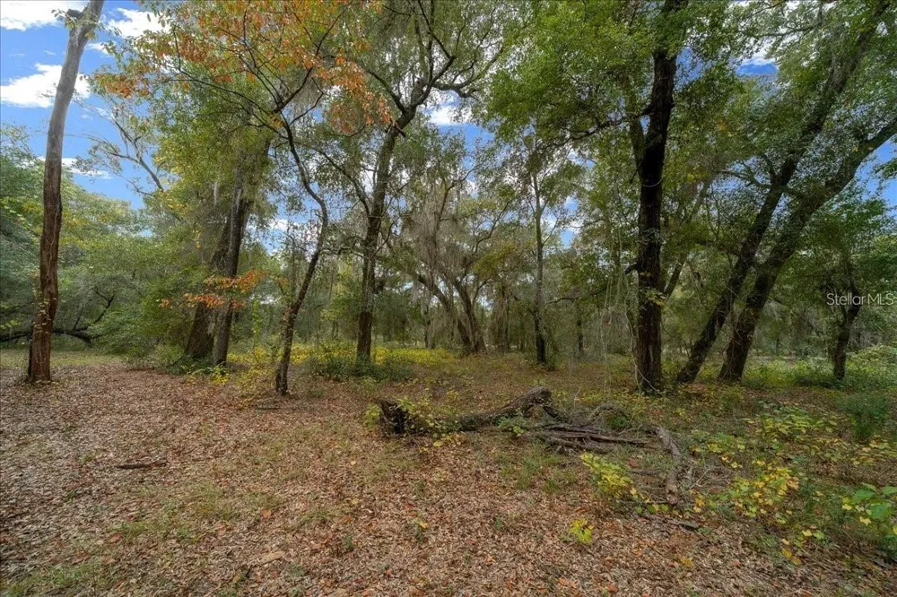 7173 W R THOMAS ROAD Keystone Heights, FL 32656