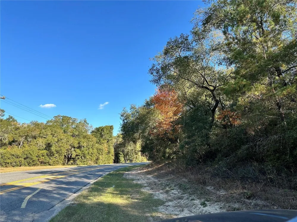 7173 W R THOMAS ROAD Keystone Heights, FL 32656
