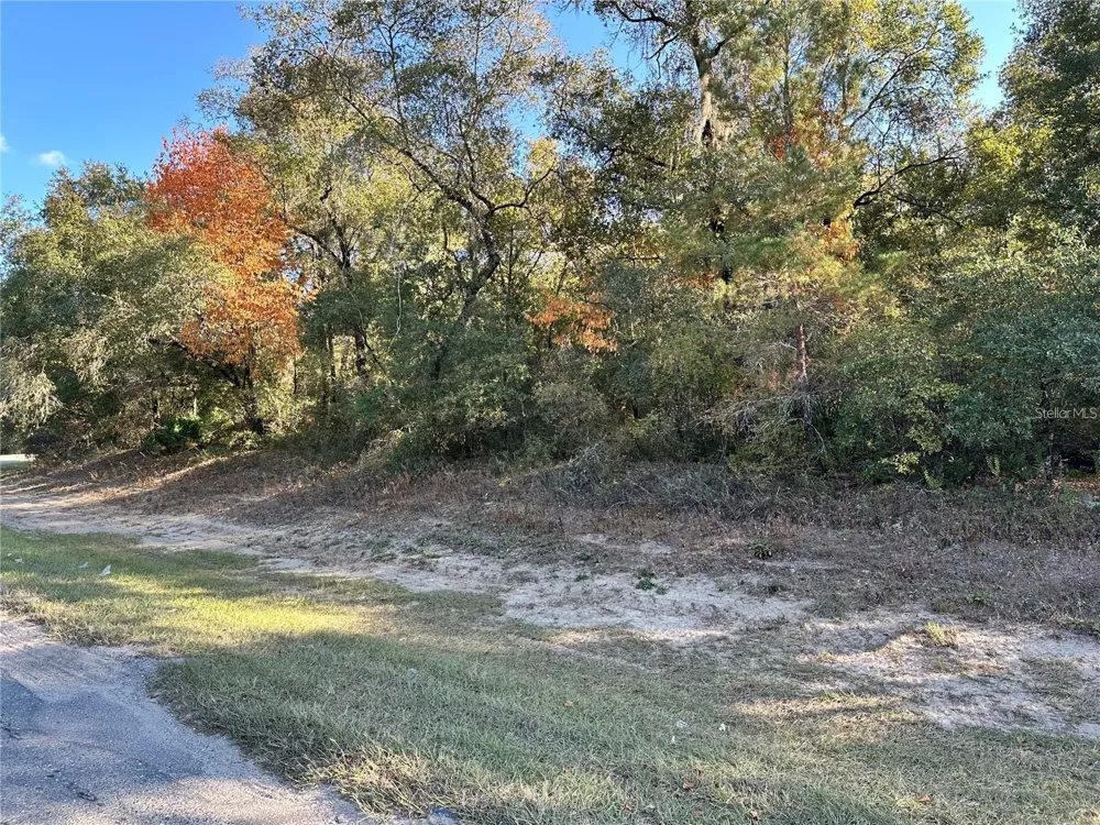 7173 W R THOMAS ROAD Keystone Heights, FL 32656
