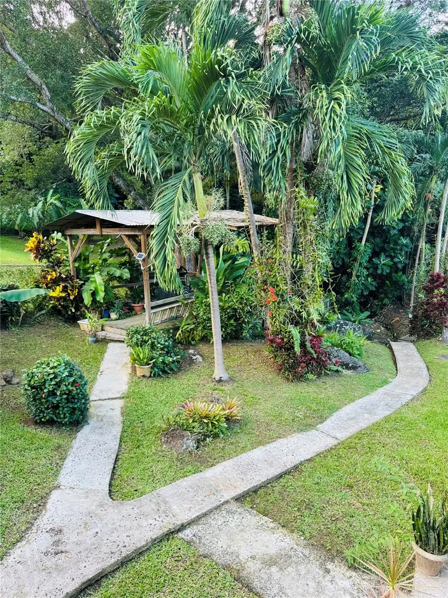 17 G23 COLINAS DEL YUNQUE Rio Grande, PR 00745