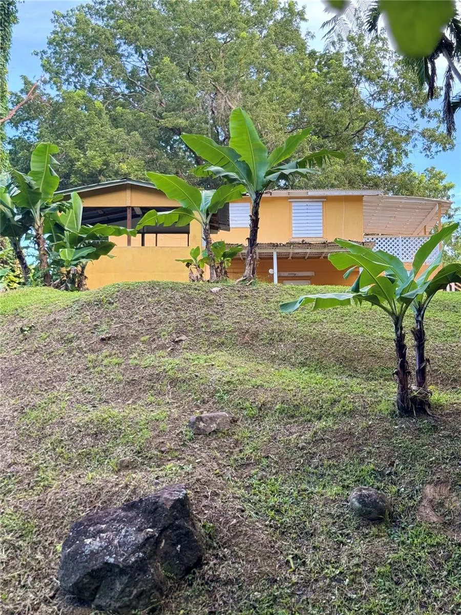 17 G23 COLINAS DEL YUNQUE Rio Grande, PR 00745