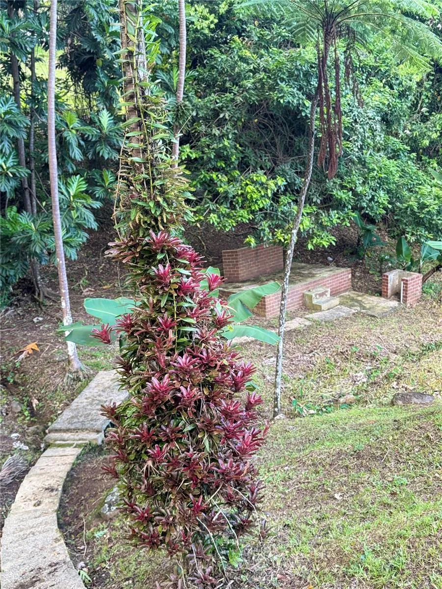 17 G23 COLINAS DEL YUNQUE Rio Grande, PR 00745
