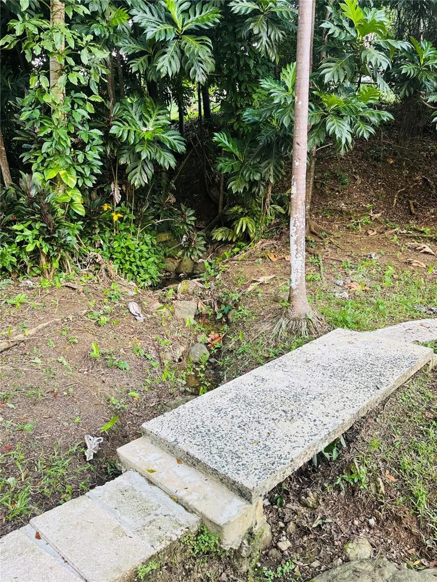 17 G23 COLINAS DEL YUNQUE Rio Grande, PR 00745