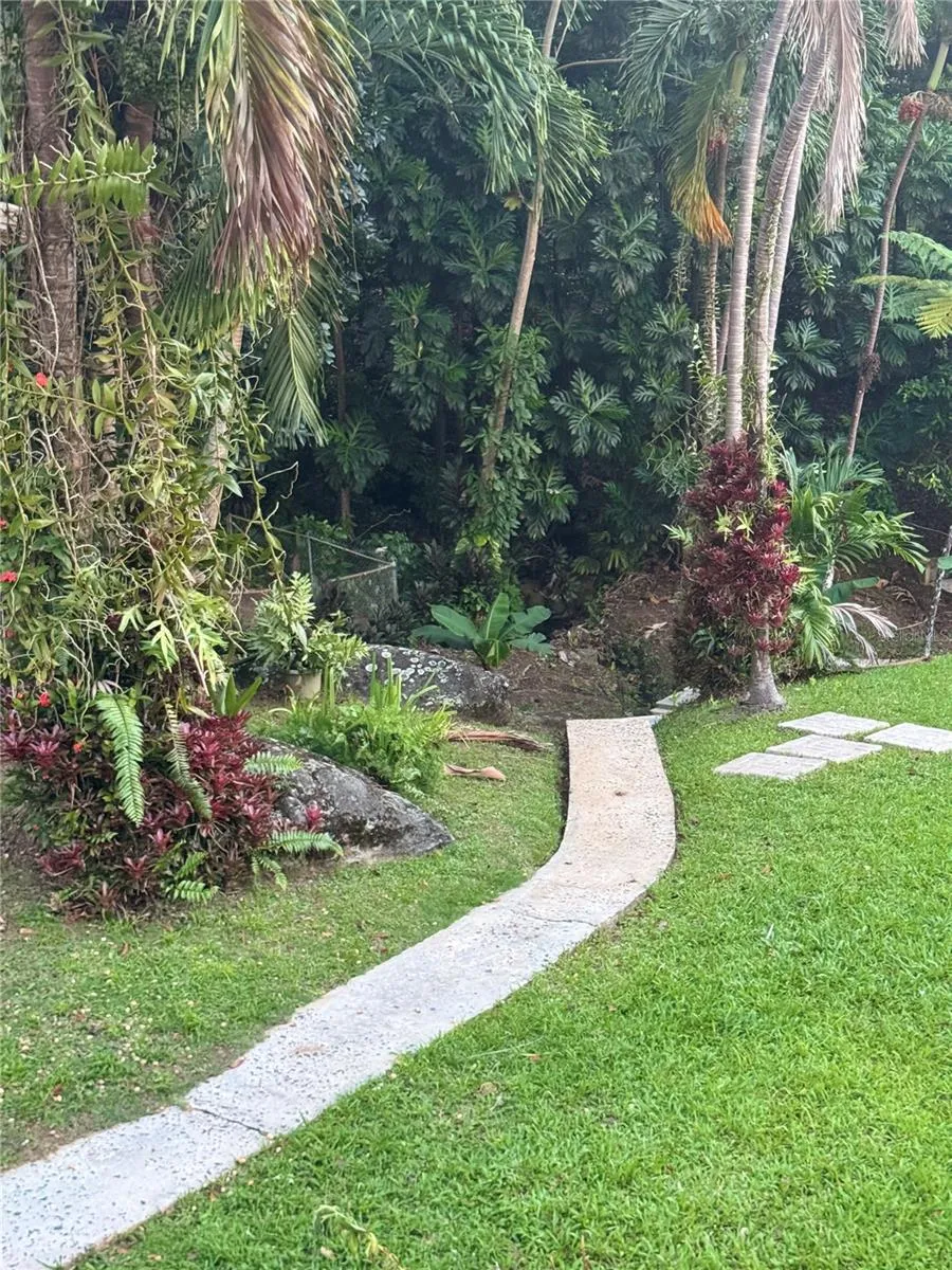 17 G23 COLINAS DEL YUNQUE Rio Grande, PR 00745