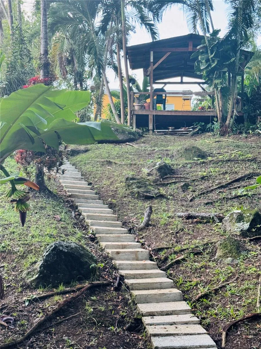 17 G23 COLINAS DEL YUNQUE Rio Grande, PR 00745