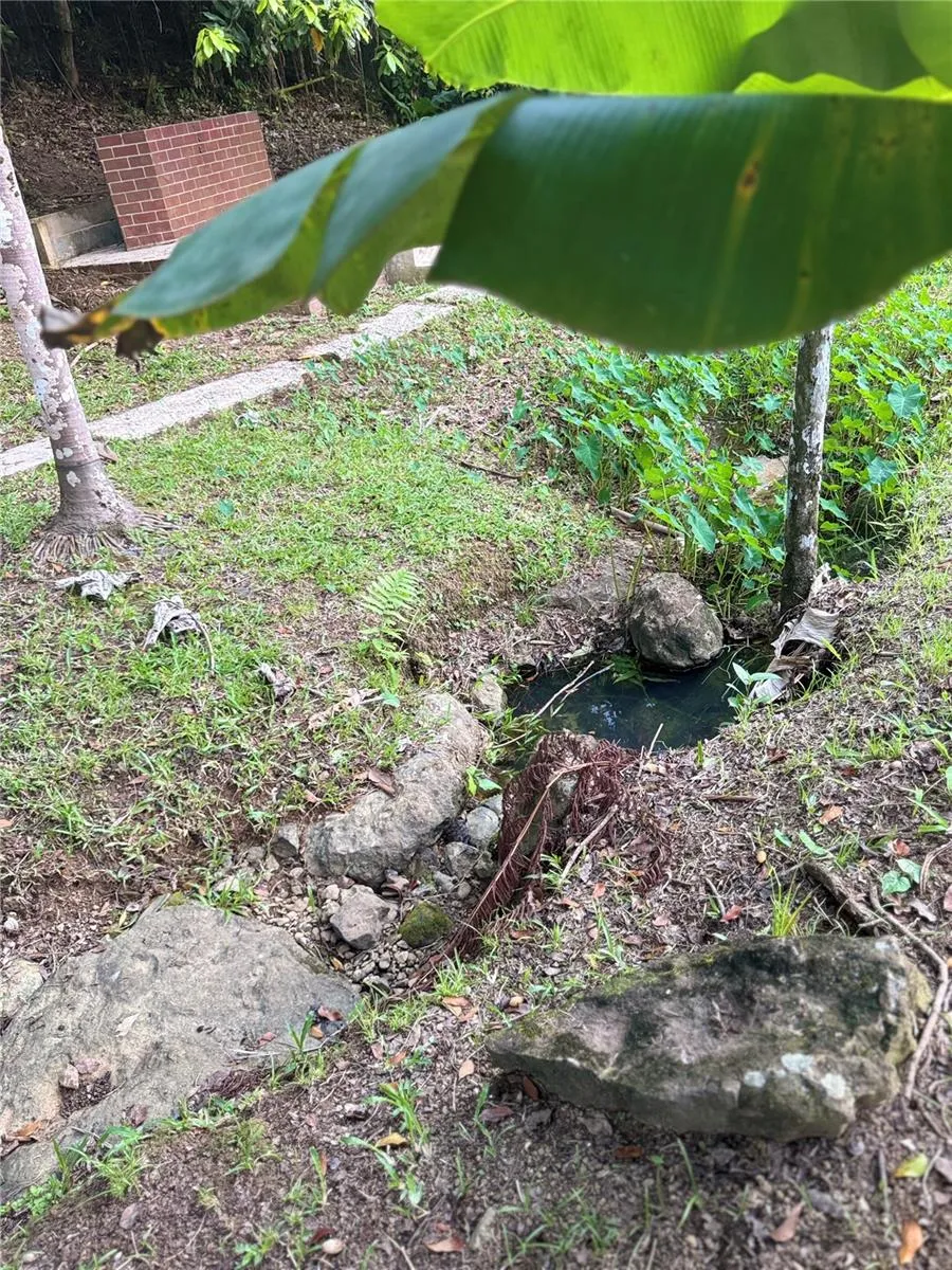 17 G23 COLINAS DEL YUNQUE Rio Grande, PR 00745