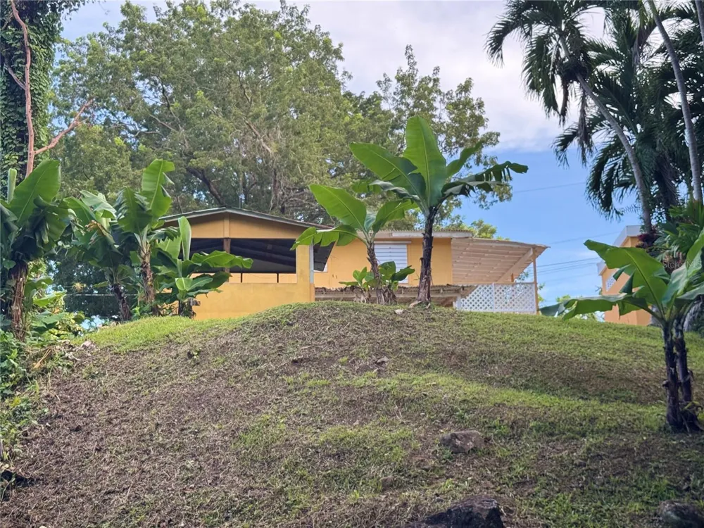 17 G23 COLINAS DEL YUNQUE Rio Grande, PR 00745
