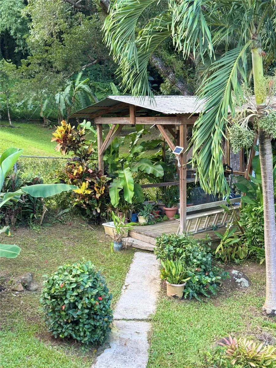 17 G23 COLINAS DEL YUNQUE Rio Grande, PR 00745