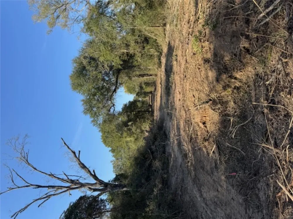 Sweed Road Washington, TX 77880