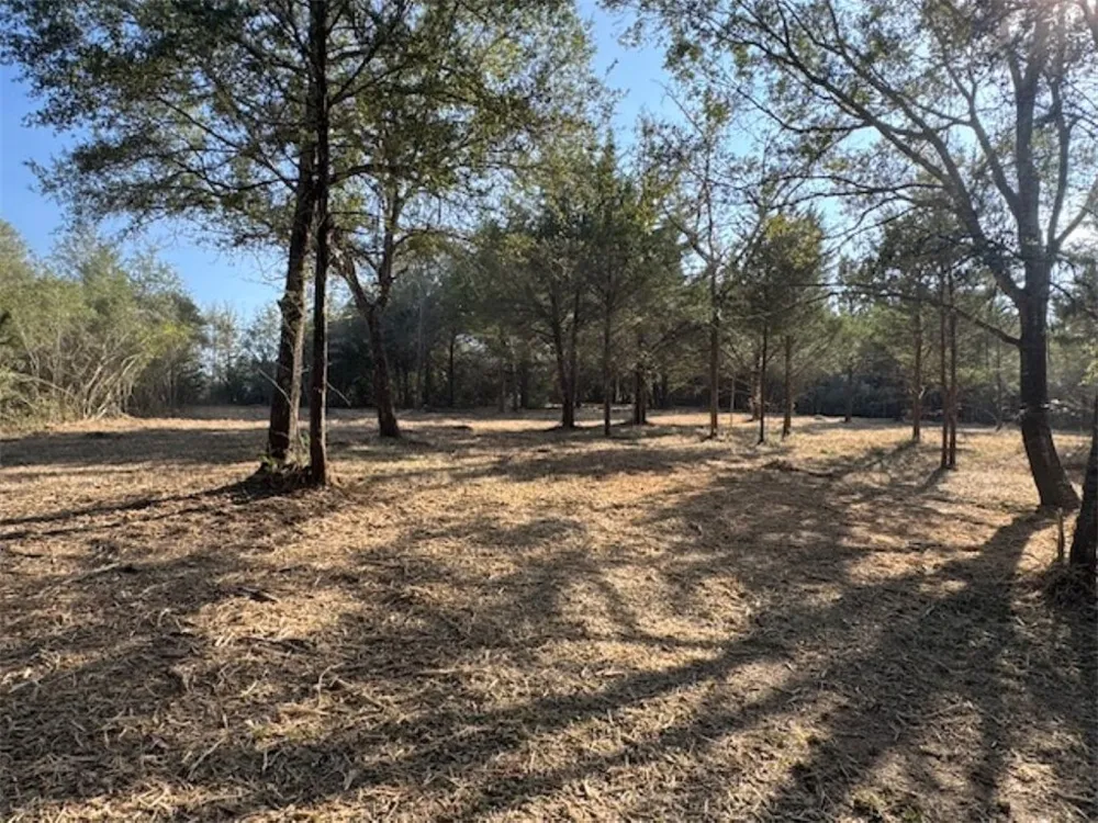 Sweed Road Washington, TX 77880