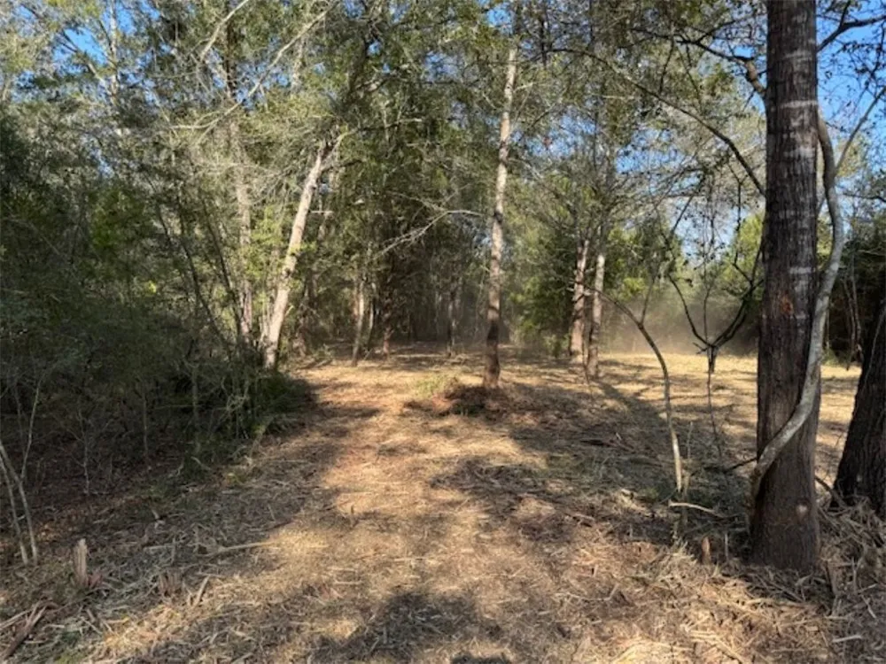 Sweed Road Washington, TX 77880