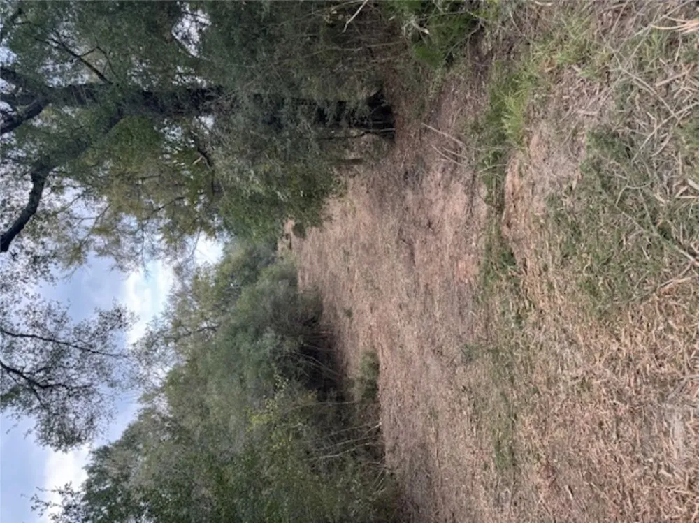Sweed Road Washington, TX 77880
