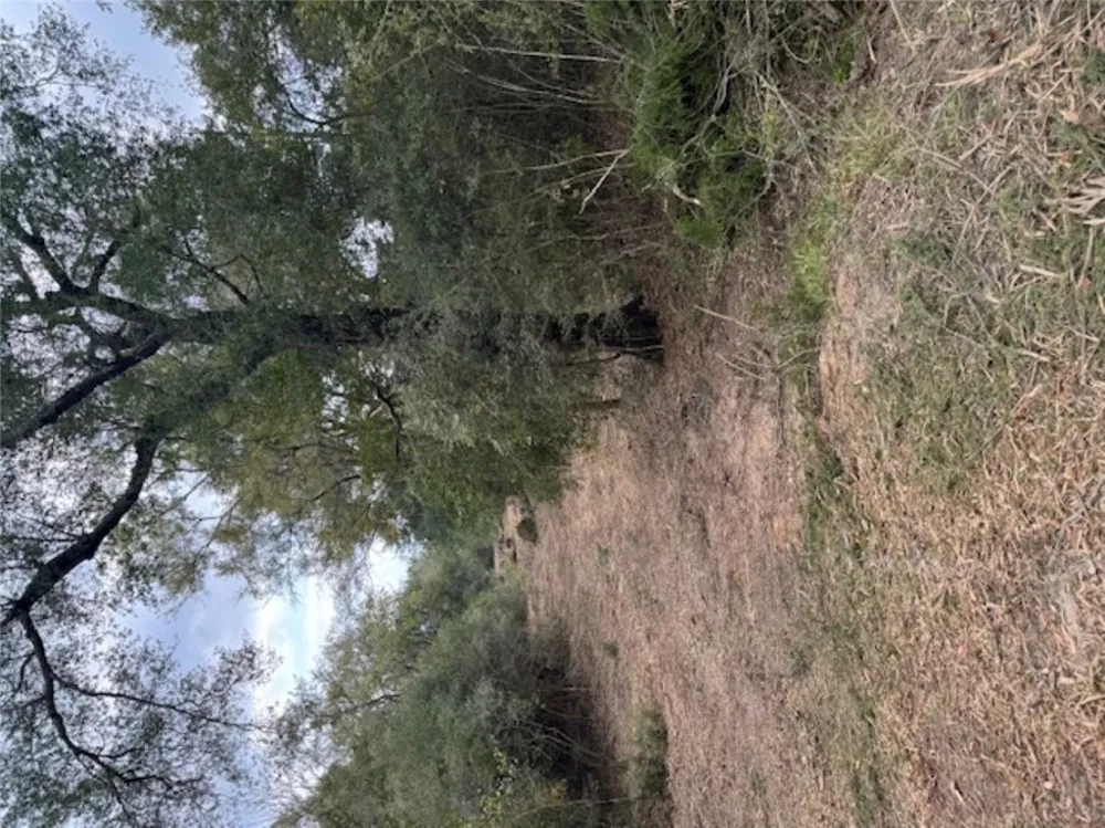 Sweed Road Washington, TX 77880