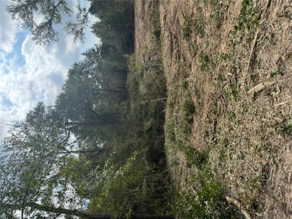 Sweed Road Washington, TX 77880