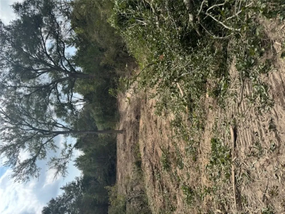 Sweed Road Washington, TX 77880