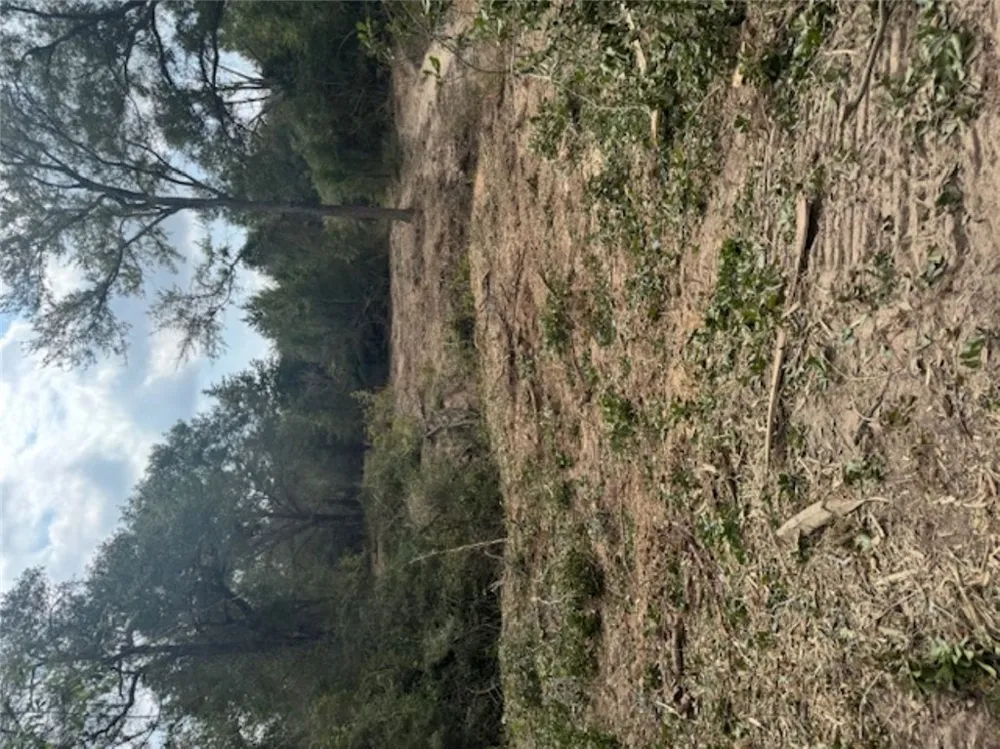 Sweed Road Washington, TX 77880