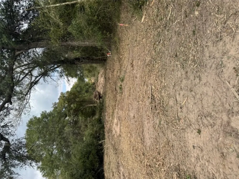 Sweed Road Washington, TX 77880