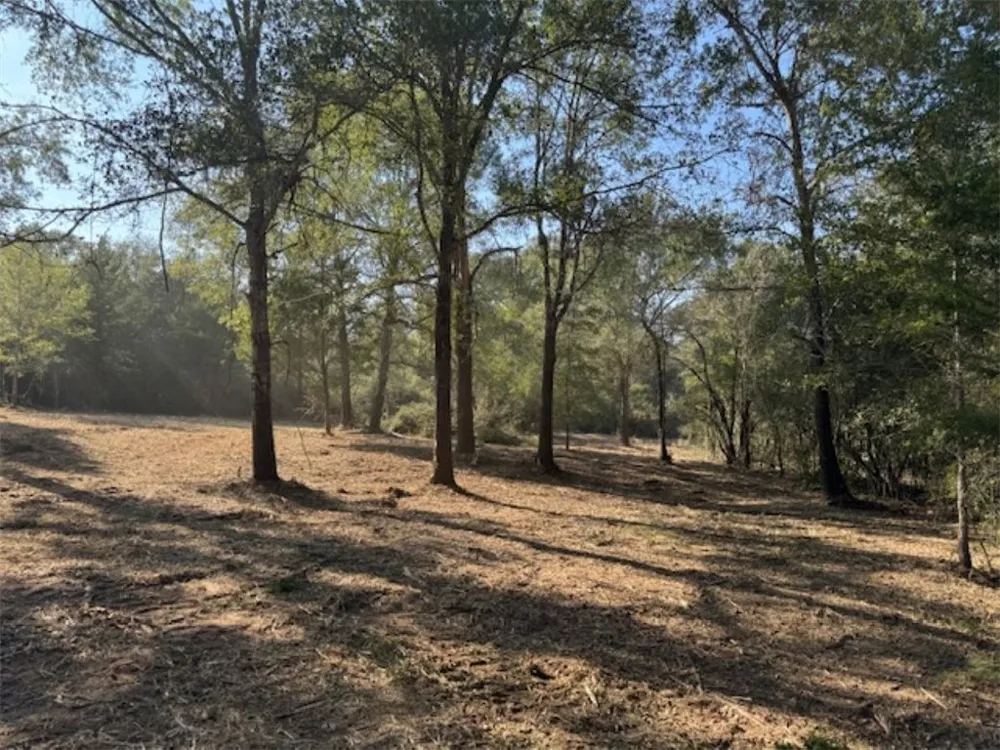 Sweed Road Washington, TX 77880