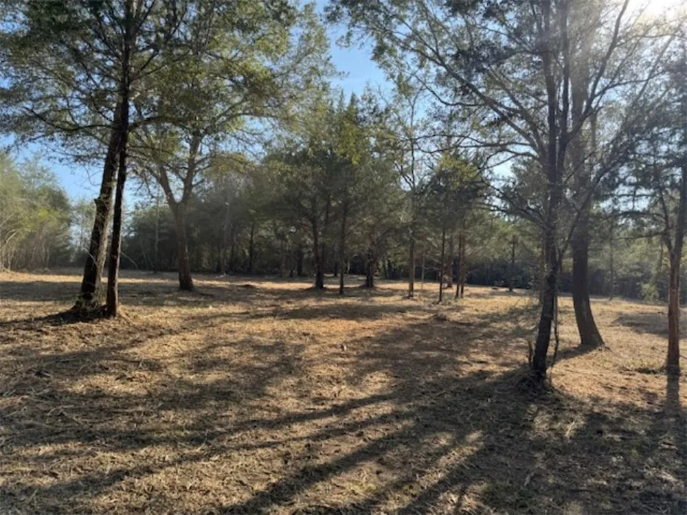 Sweed Road Washington, TX 77880
