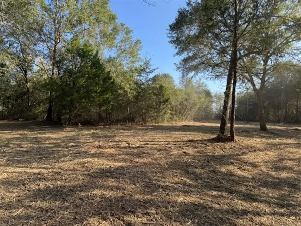 Sweed Road Washington, TX 77880