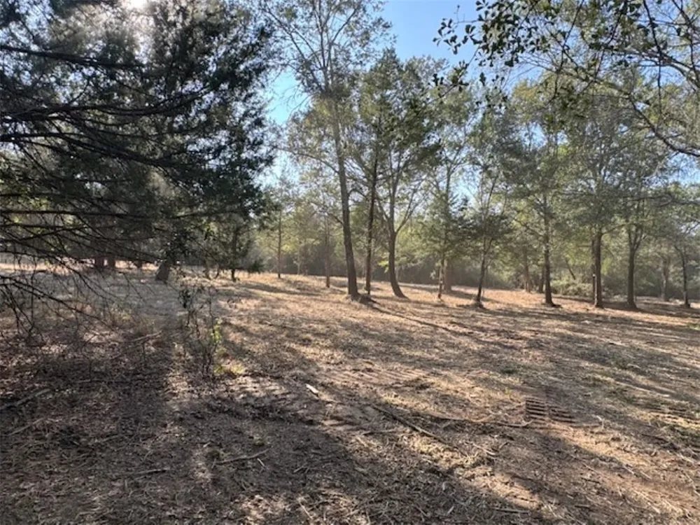 Sweed Road Washington, TX 77880