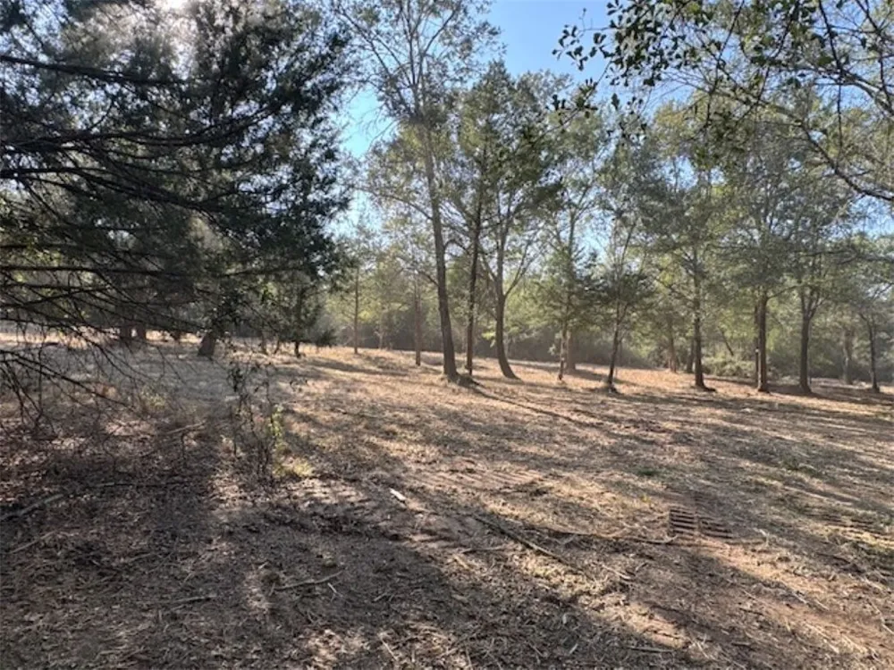 Sweed Road Washington, TX 77880