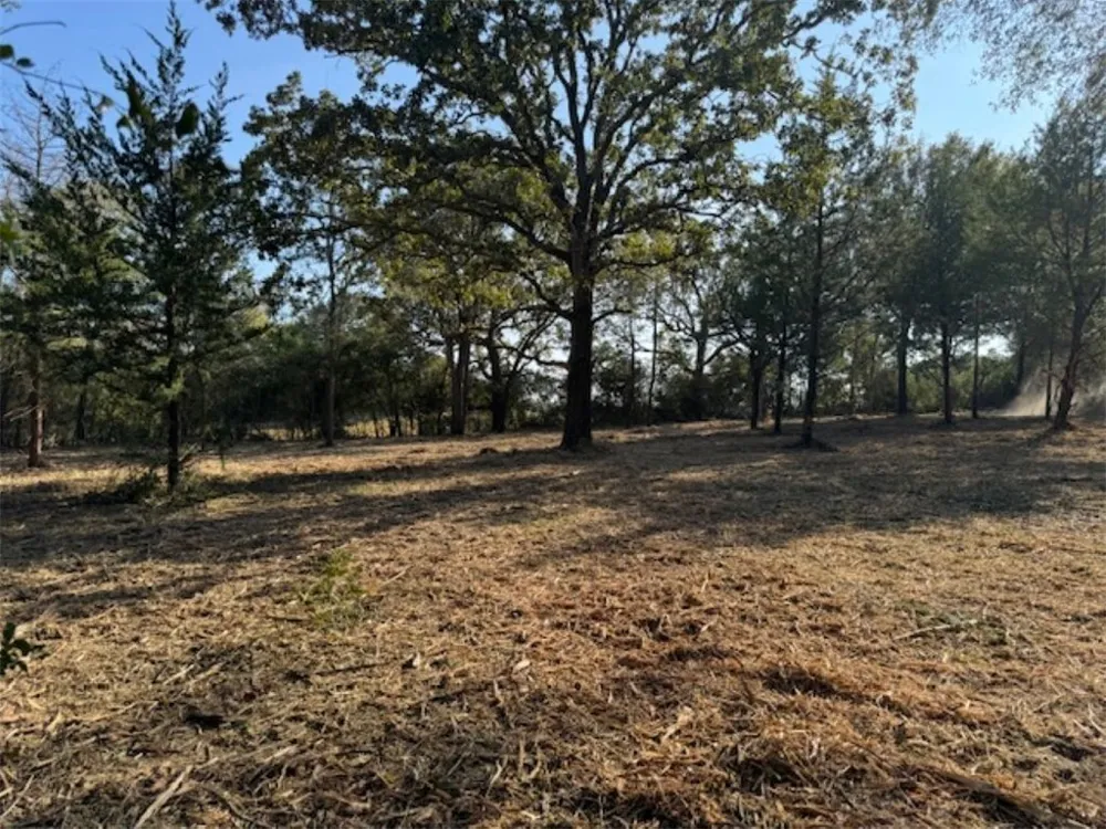 Sweed Road Washington, TX 77880