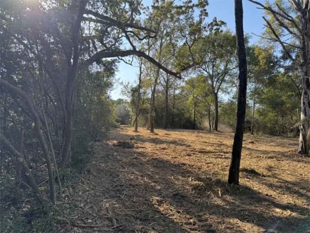 Sweed Road Washington, TX 77880