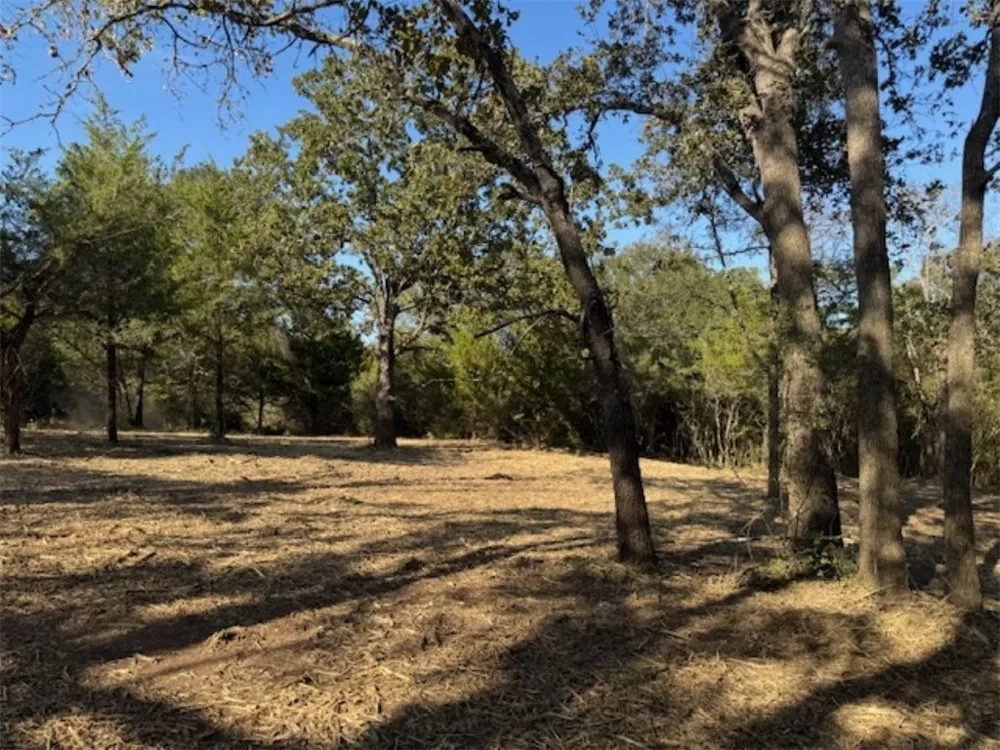 Sweed Road Washington, TX 77880