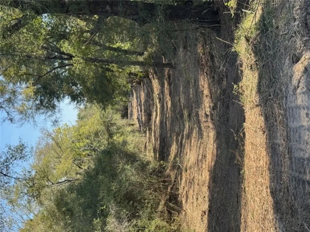 Sweed Road Washington, TX 77880