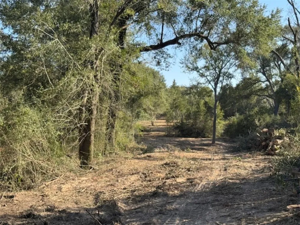 Sweed Road Washington, TX 77880