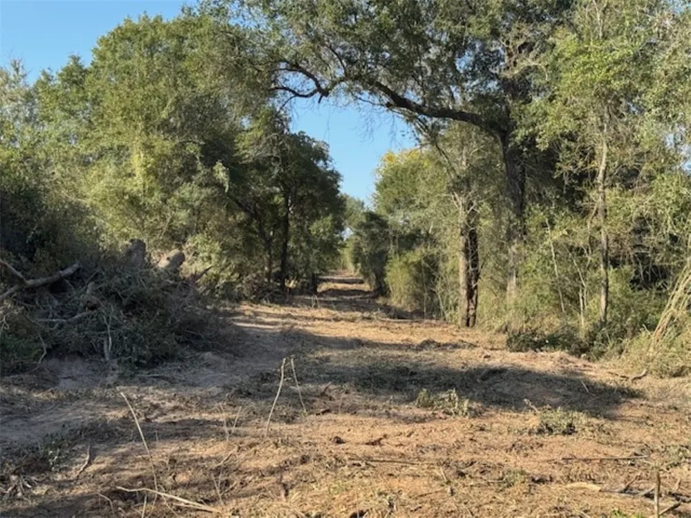 Sweed Road Washington, TX 77880