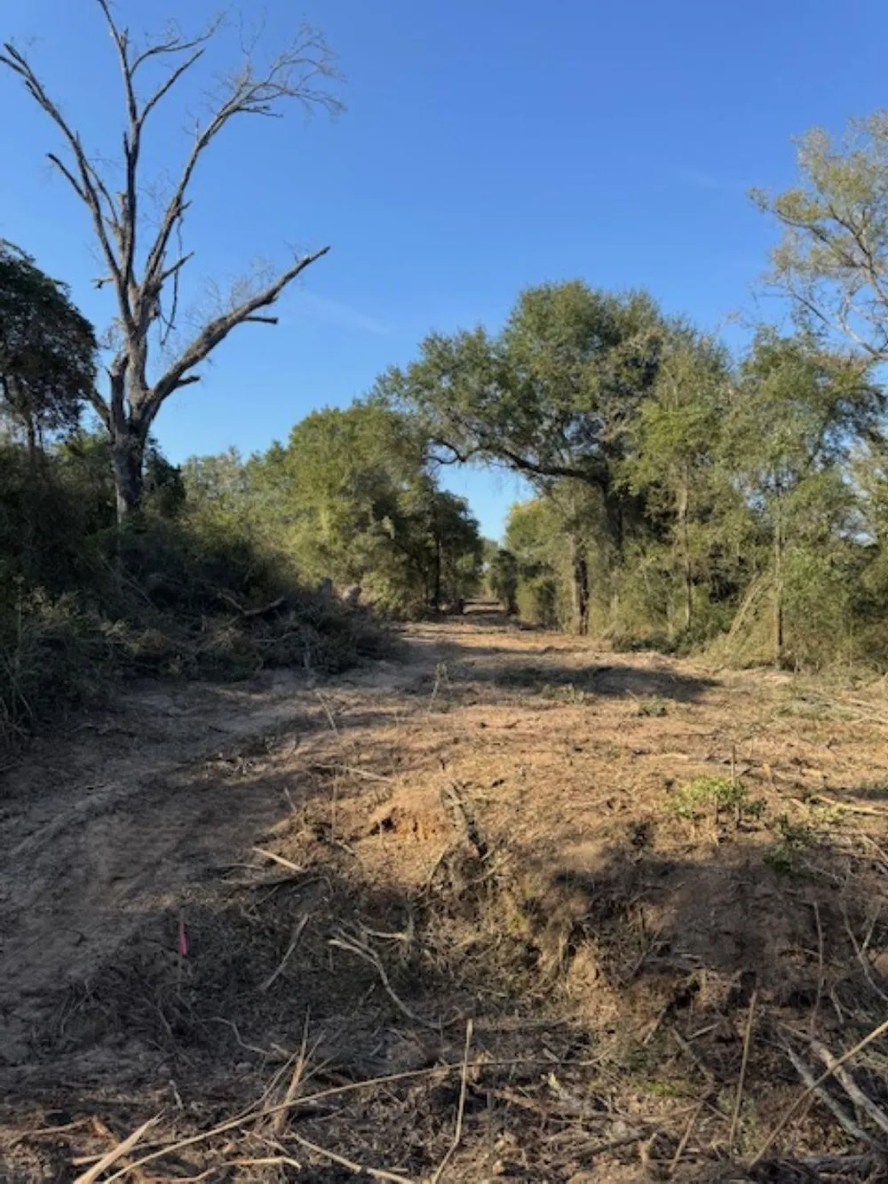 Sweed Road Washington, TX 77880