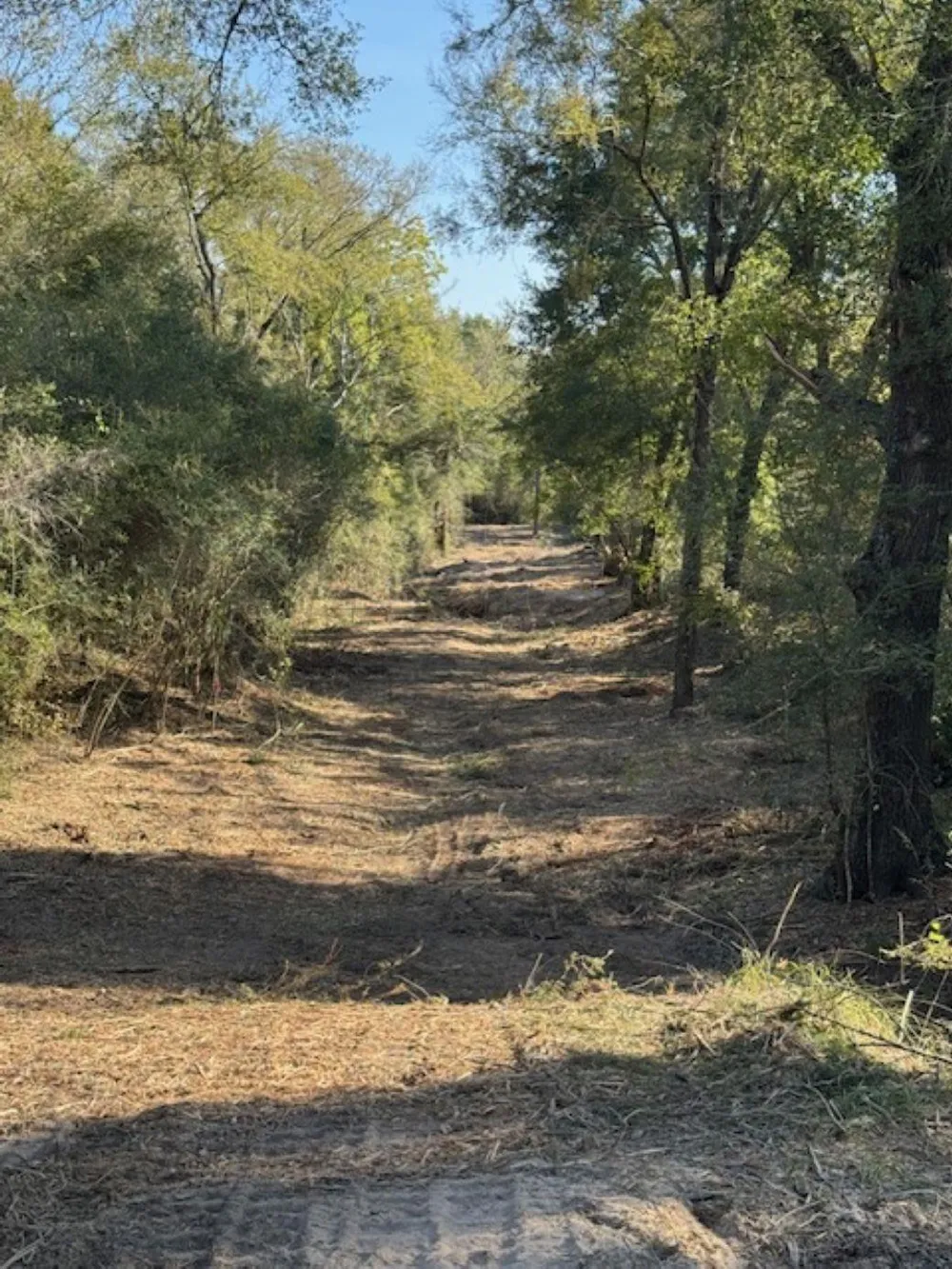 Sweed Road Washington, TX 77880