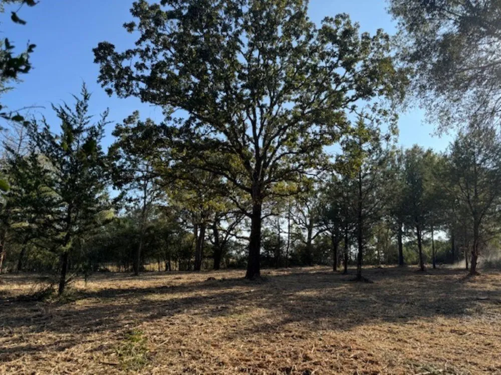 Sweed Road Washington, TX 77880