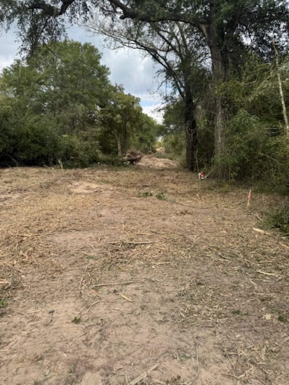 Sweed Road Washington, TX 77880