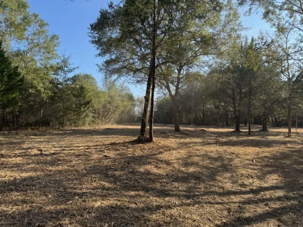 Sweed Road Washington, TX 77880