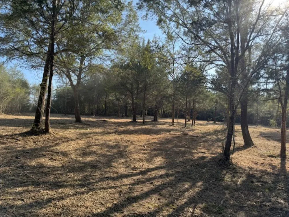 Sweed Road Washington, TX 77880